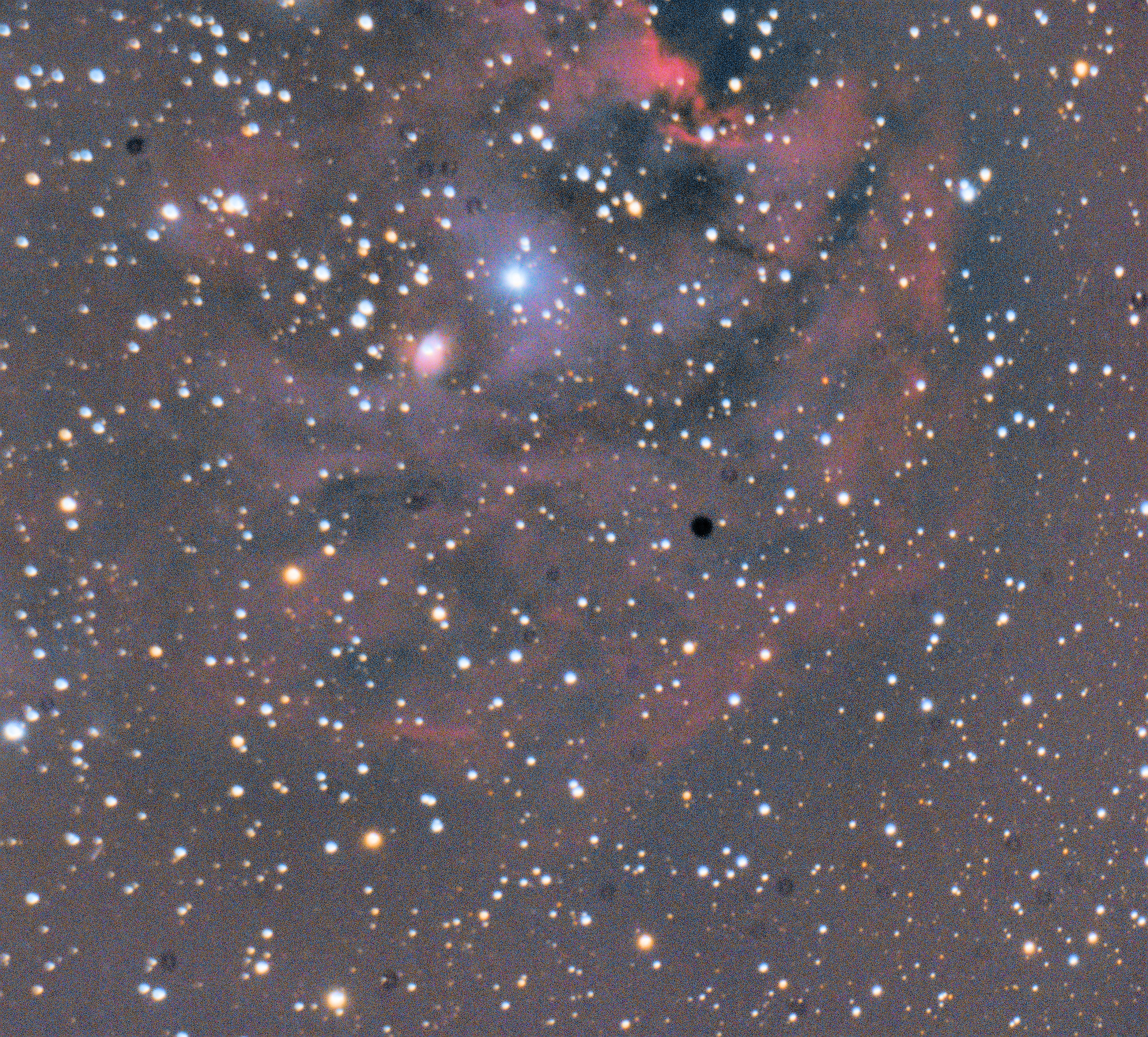 NGC2175_DSLR-Tête_de_Singe.jpg