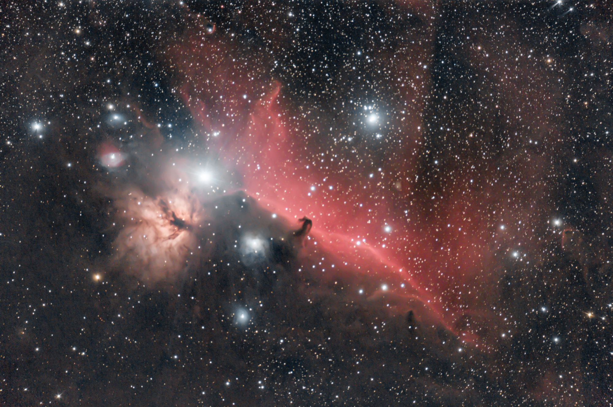 NGC 2024 - IC 434 - B33.jpg