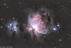 M42_Nébuleuse d'Orion