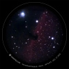 Ciel profond 2022-12-27 - eVscope_NEB_Horsehead_Nebula.jpg