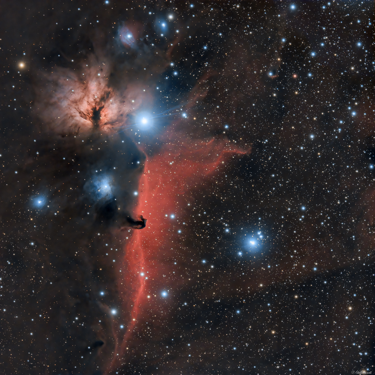 63b1c4e4bf5d9_20221127IC434TetedeCheval-NGC2024Flamme-RedStar-Web.jpg.77ba59545494a00cd3cae35b43e3f8a1.jpg