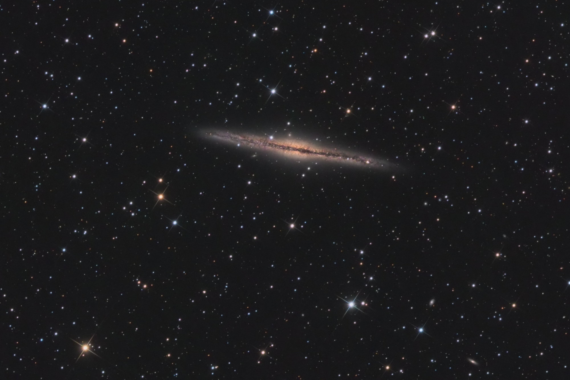 NGC891_XXbis_crop.thumb.jpg.3e98581c06b760d9435b8f58c5b9590d.jpg