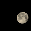 Lune ce Dimanche  8 Janvier 2023