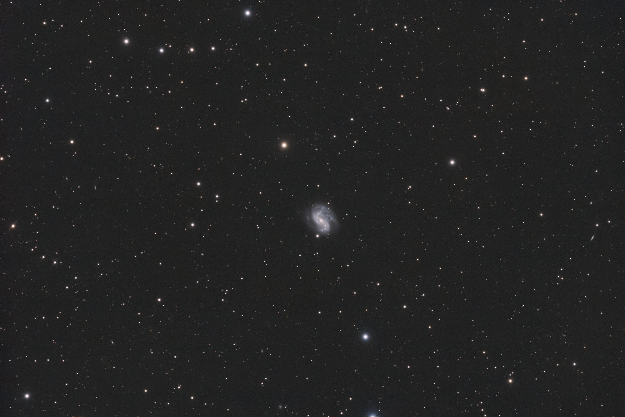 NGC 4051_SIRIL-L2-iris-cs5-4-FINAL-2-x.jpg