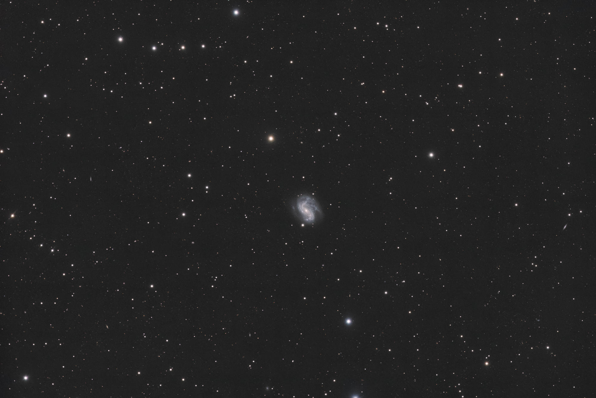 NGC 4051_SIRIL-L2-iris-cs5-4-FINAL-4-x.jpg