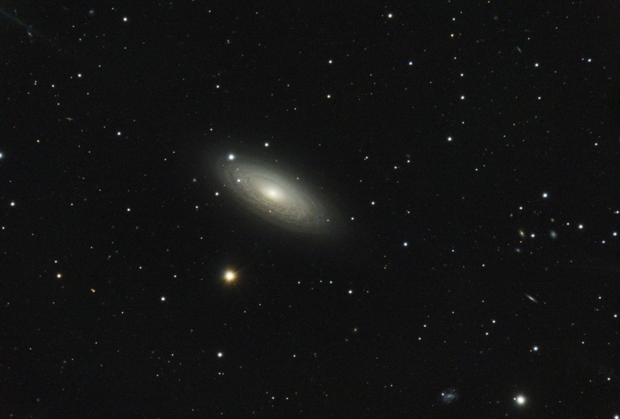 NGC 2841 20230220 sd.jpg