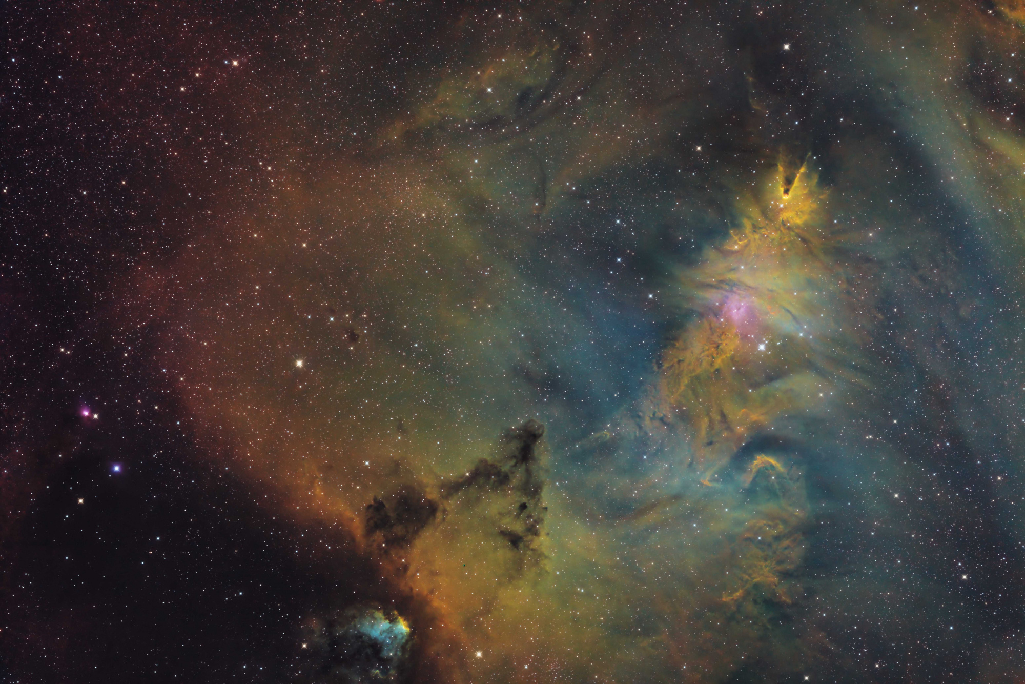 NGC2264 T2.jpg