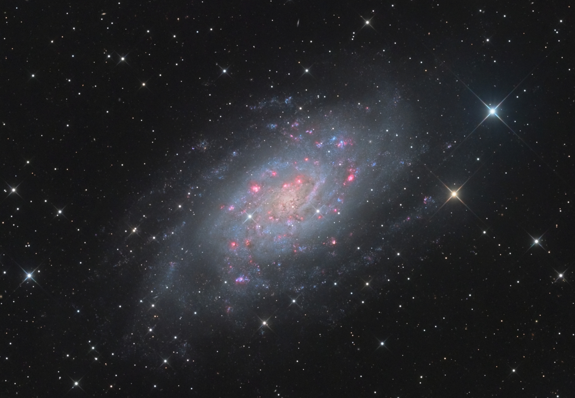NGC2403f.thumb.jpg.b0508f693761f7feee57249d4e7d6481.jpg