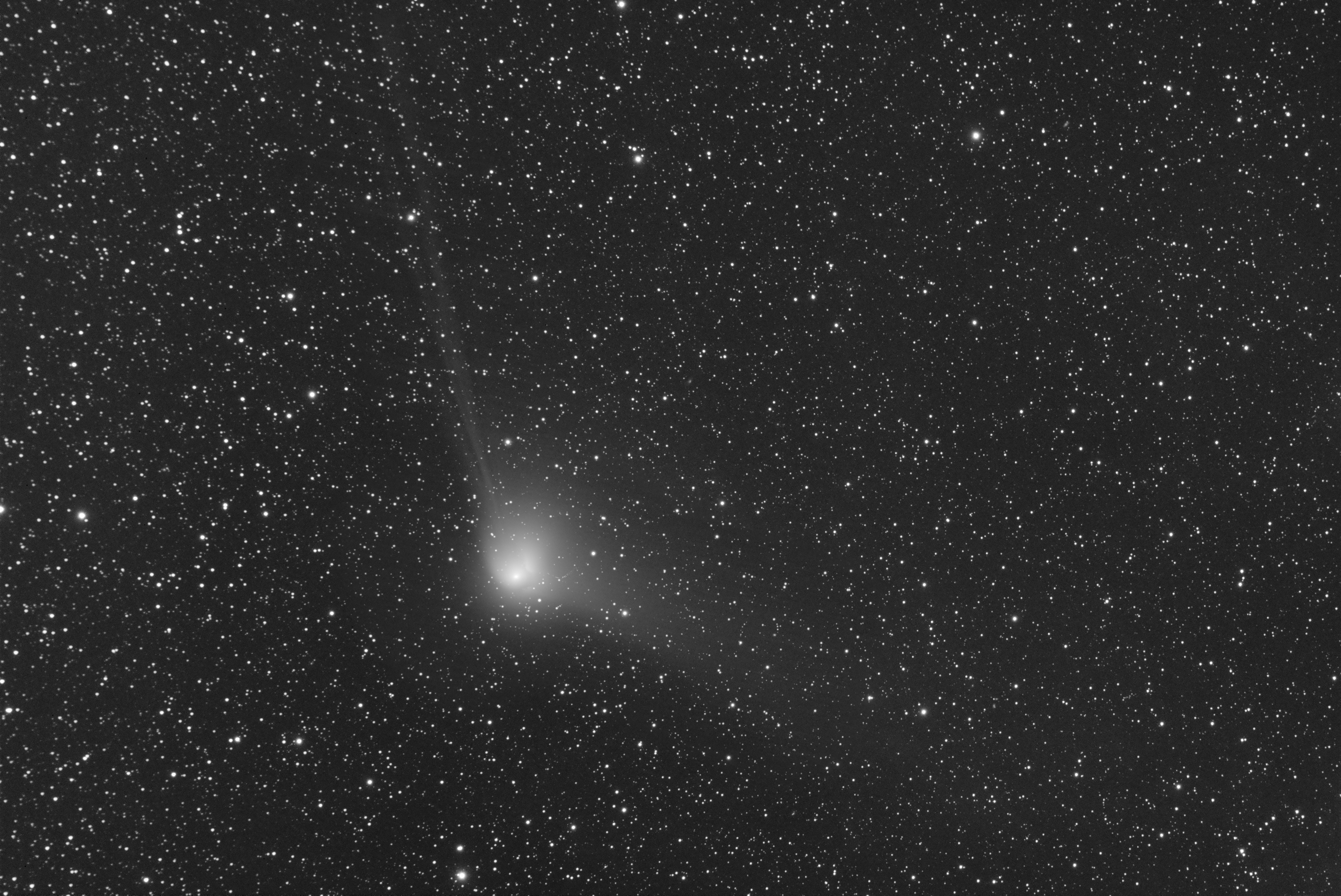 large.comet_dt.jpg.86f7d7d26bef18ddb2c3a8becd644243.jpg