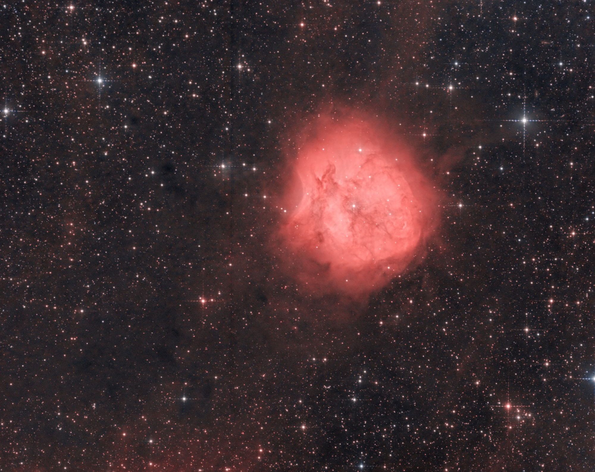 IC5146-2022V2.jpg