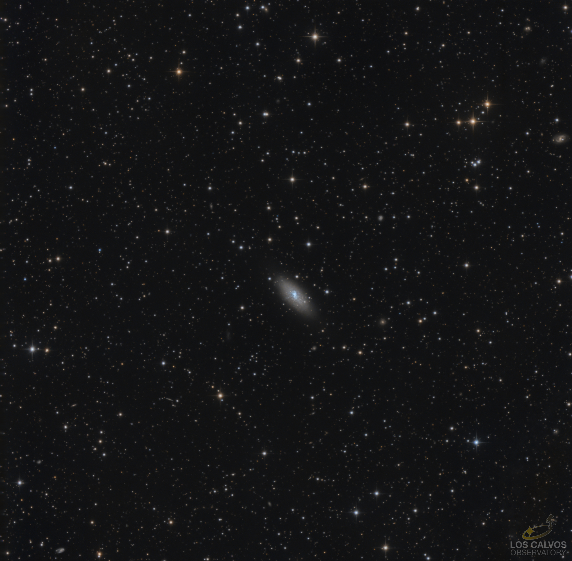 NGC-2053_Brute_RGB_ABE_MLT66_NLMsk_photocolor_PS_resample_LOGO.jpg