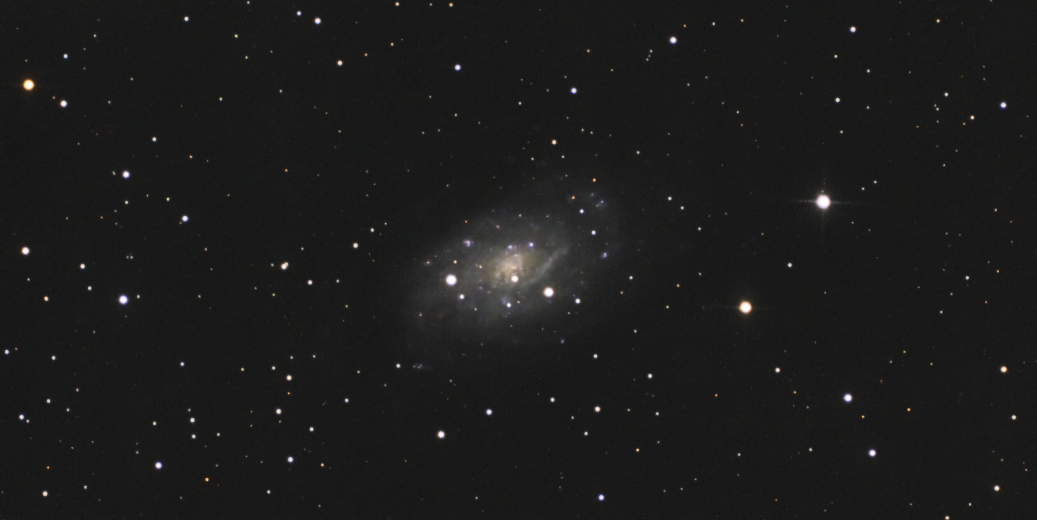 NGC2403-P1P2-N150_RGB-Siril-PS-LR-finale.jpg.190730dd65569d51ac114510349e1653.jpg