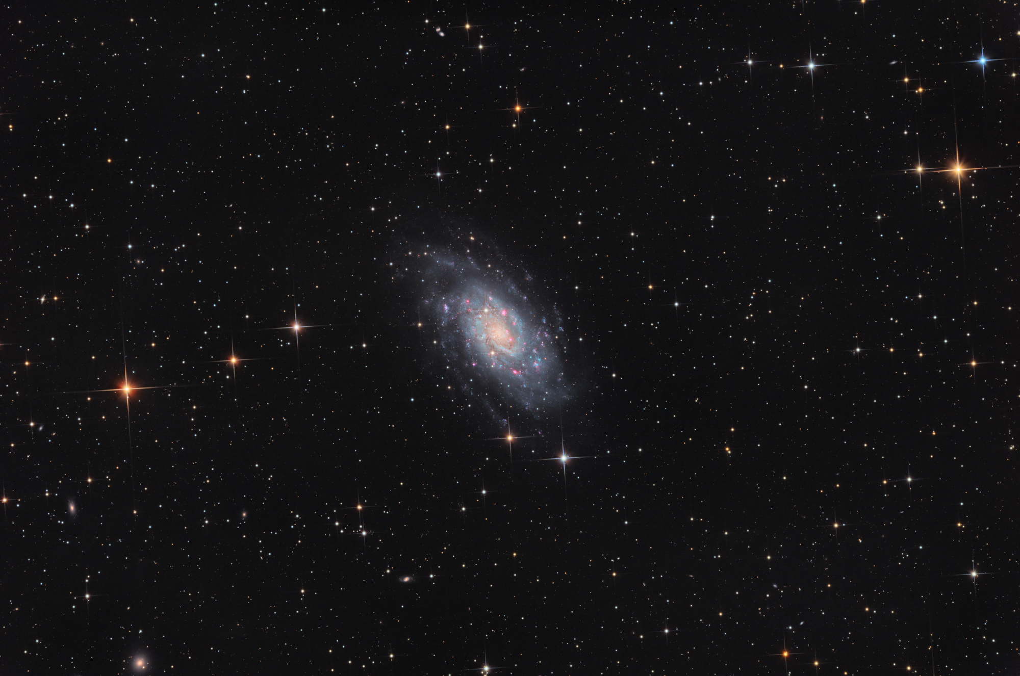NGC2403_FINAL.jpg