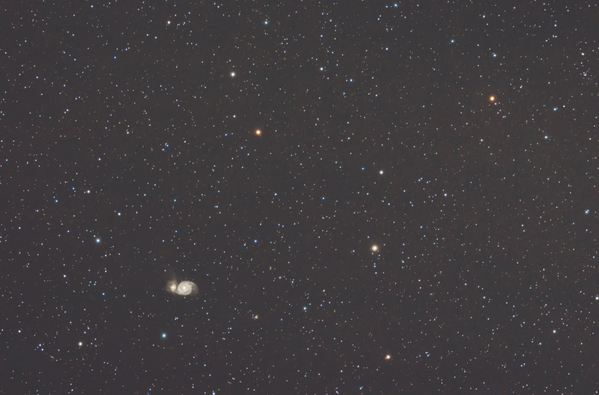 Messier 51 grand champ.jpg