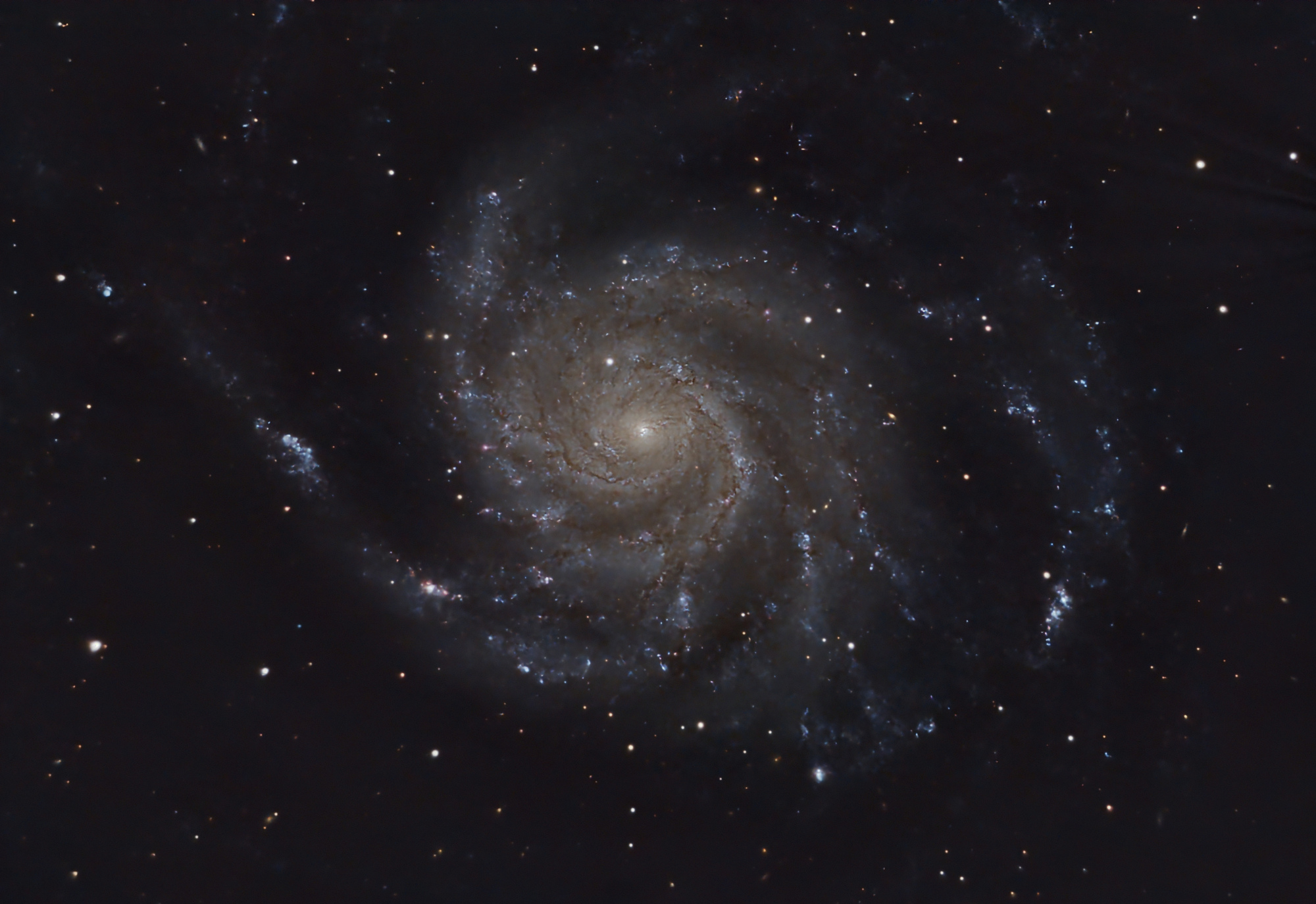 M101_RGB_DBE_Bx_Nx_V2 bis.jpg