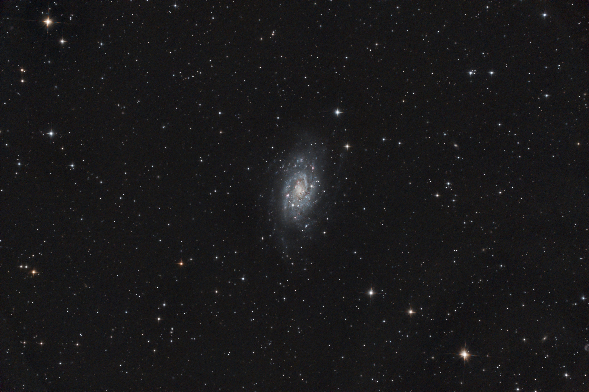 NGC_2403_19avril2023_1.thumb.jpg.3898f7e73026cad5d5a99825d71993b1.jpg