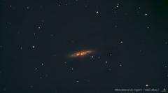M82 Galaxie du Cigare ngc 3034
