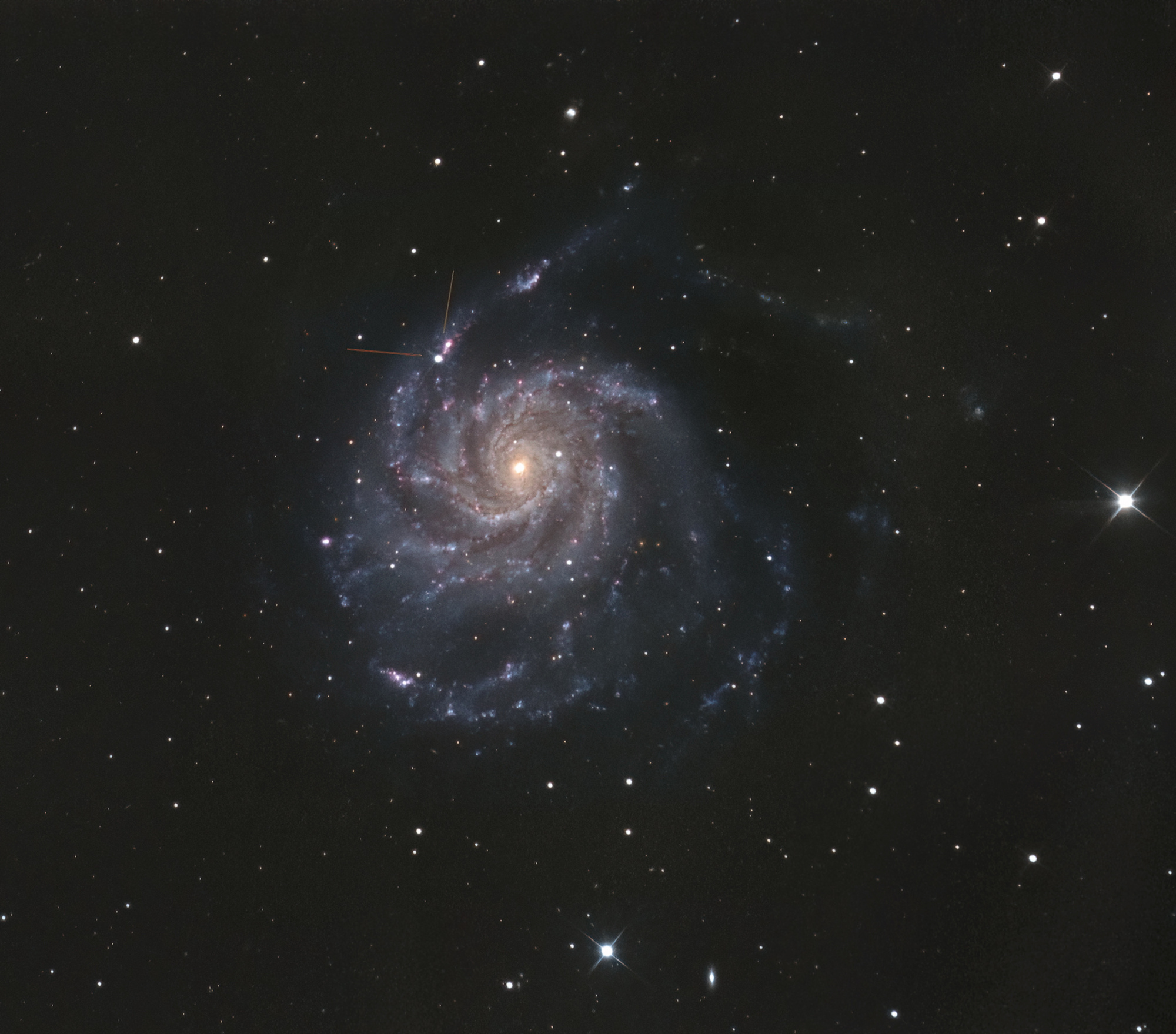 M101 SN.jpg
