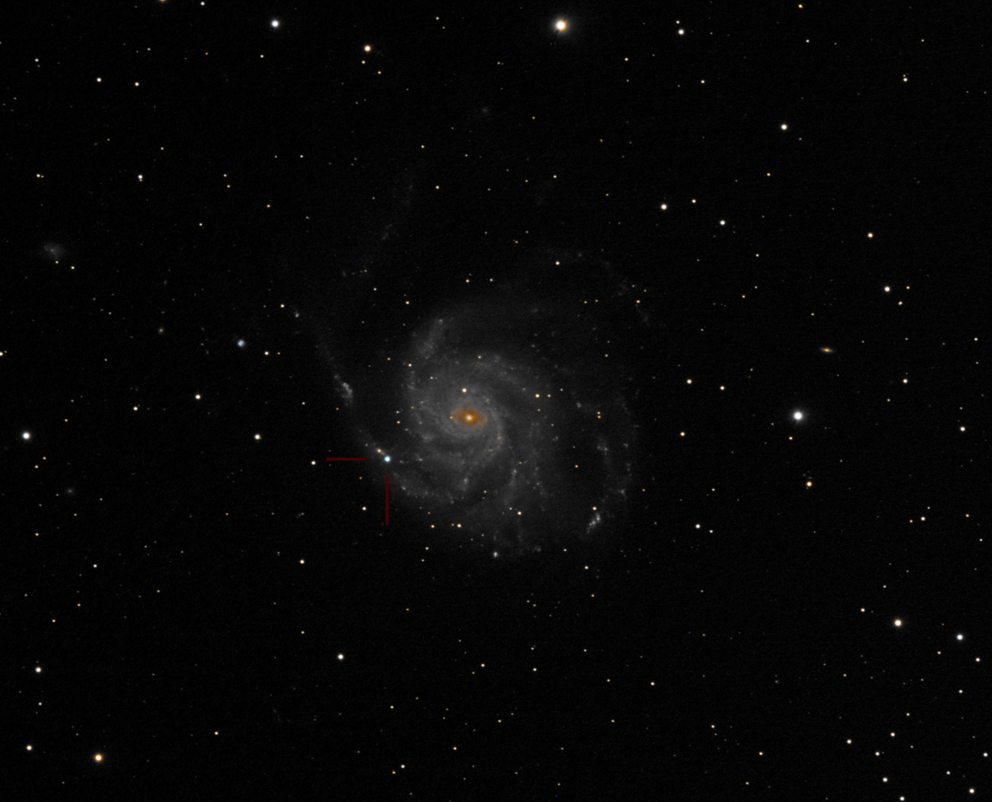 M101 SN -Recovered (2).jpg
