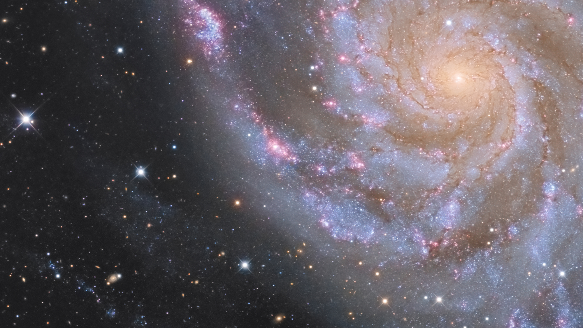 M101-SN-AVANT-final-CROP.thumb.jpg.74e9b533602240eab396bf3cefdfbcae.jpg
