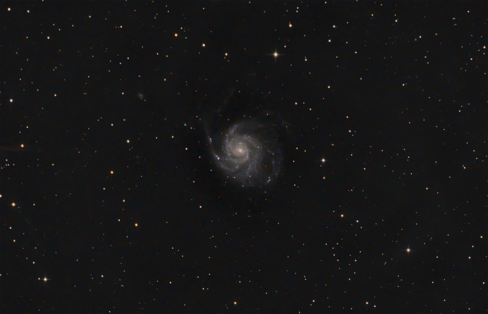 M101-SN-finale.thumb.jpg.611de7249cec07a307b75560a1c30c67.jpg