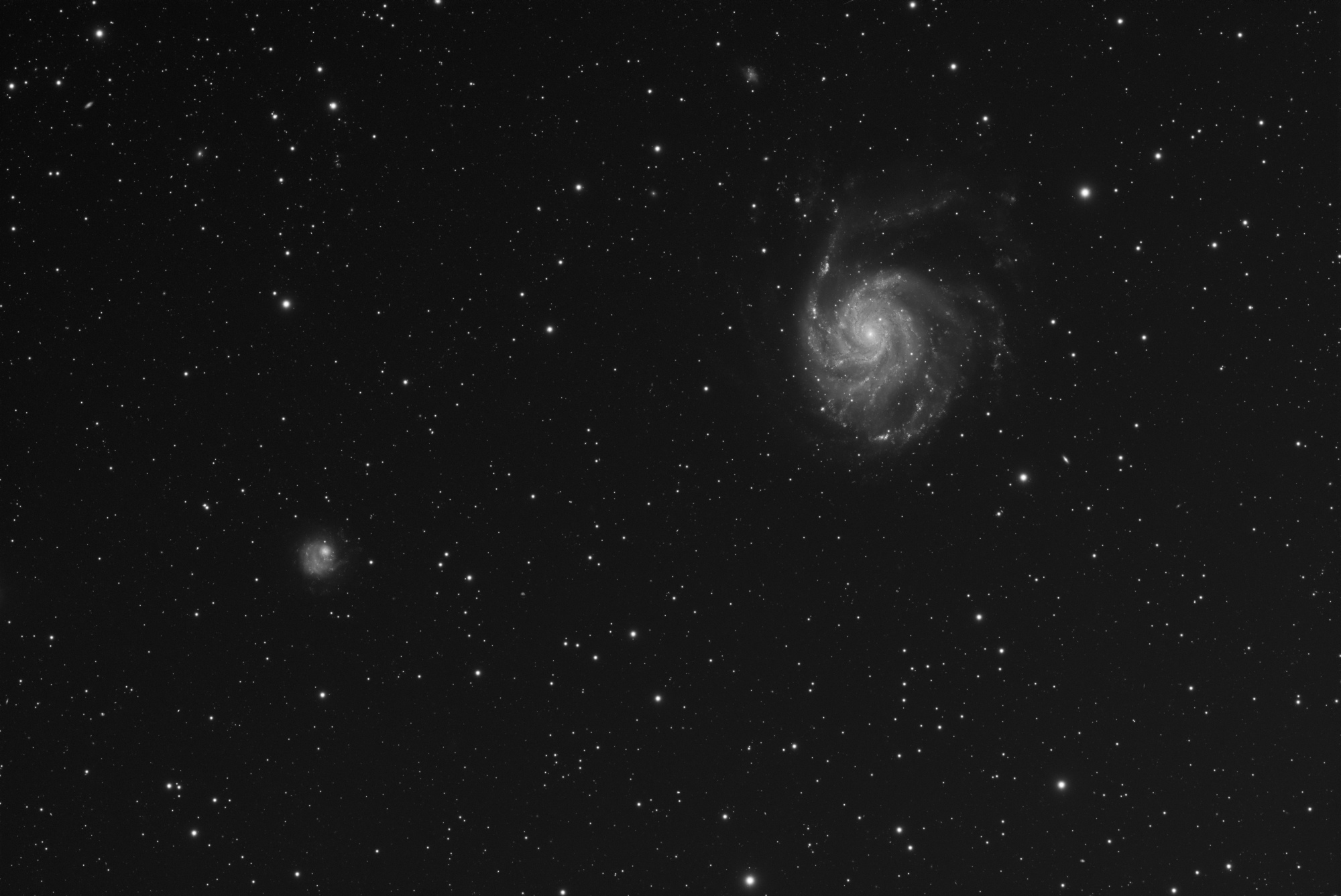 M101_supernova.thumb.jpg.fe766482b6fee0c40c475c1879975e05.jpg