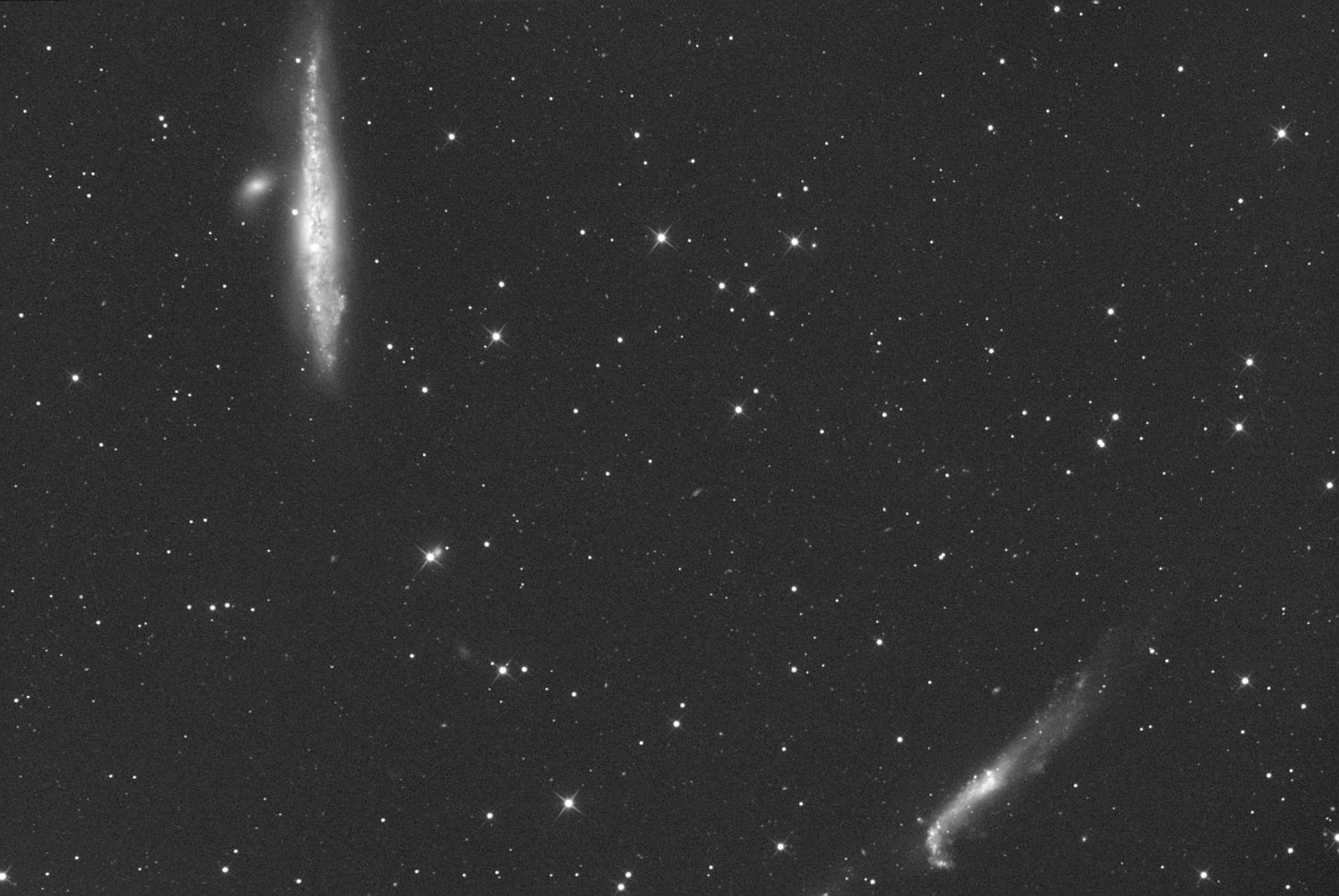 NGC4631-T_ond_ajust_3600s.jpg