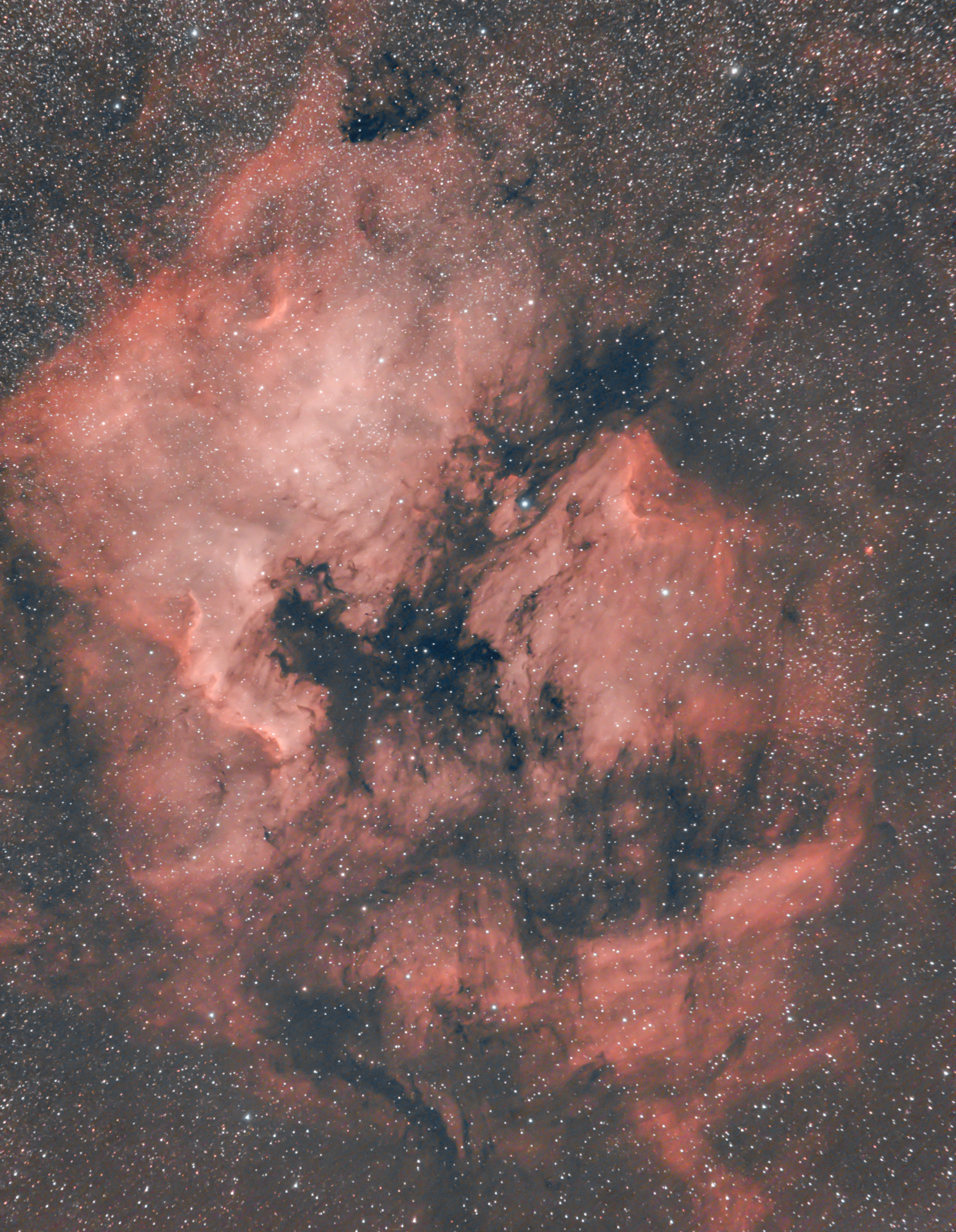 NGC 7000 - IC 5070.jpg