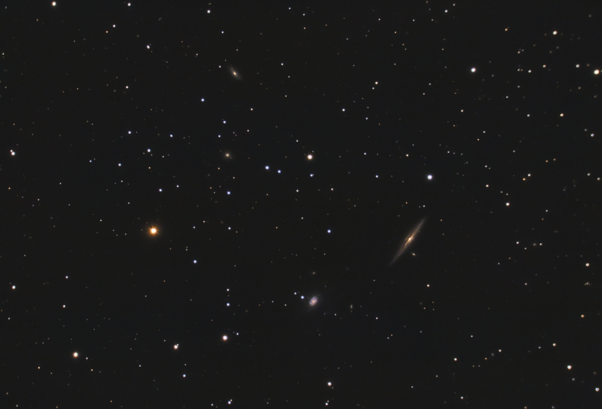 64aaf75b5bfa6_NGC5963-5965-C8_RGB-Siril-Pix-PSfinale.thumb.jpg.e7135aa93f468bbcd71d7722b932d0a4.jpg