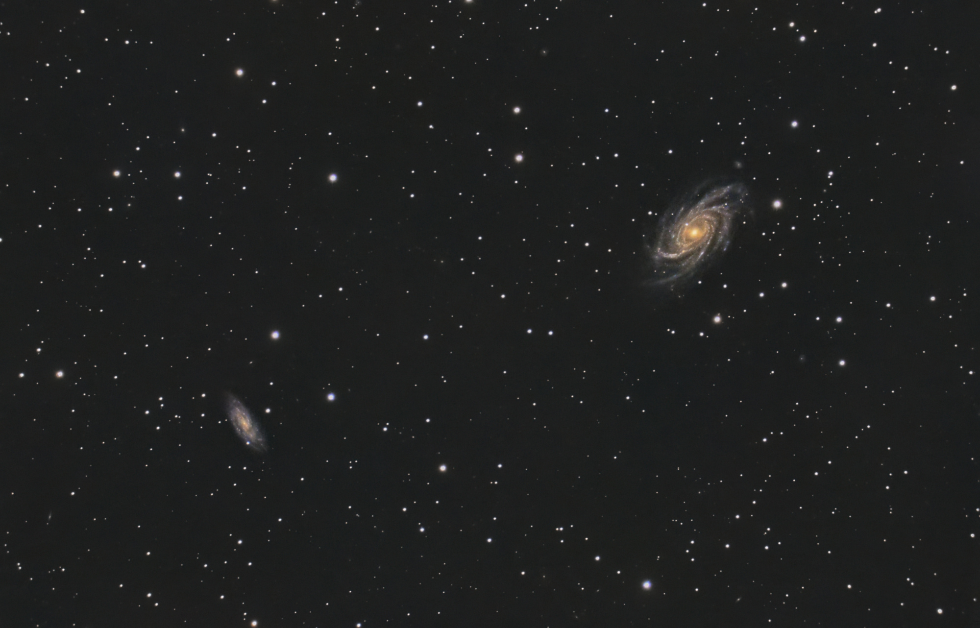 64aefcc3e65e9_NGC2336-C8_RGB-Siril-pix-PSfinale-.thumb.jpg.321cfca51e1ad5371e50bd582b6fece4.jpg