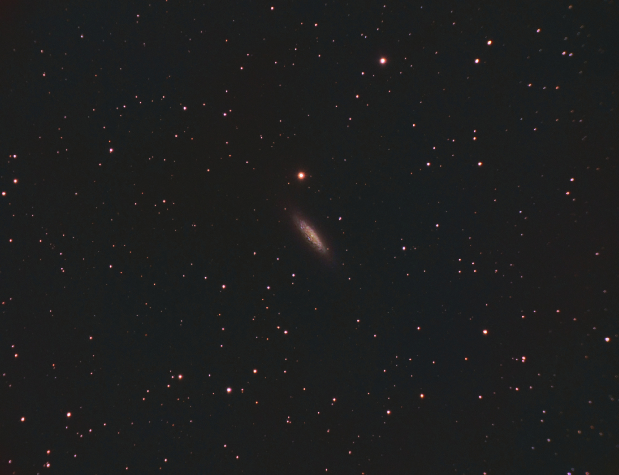 64b4c6d871532_NGC6503-C8-LRGBSiril-pix-finale.thumb.jpg.0888cb450062508b166d0850e4be15c1.jpg