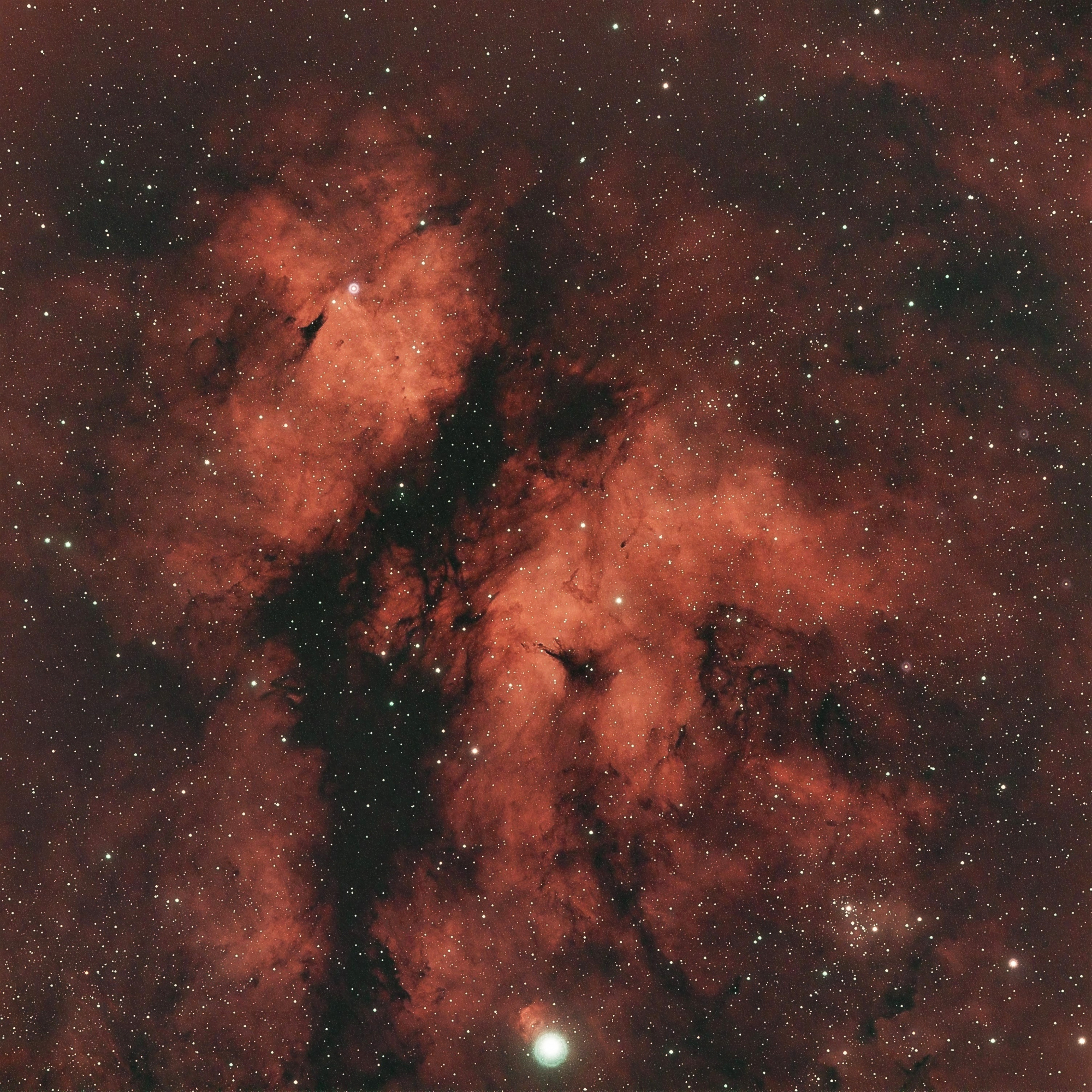 IC1318 Papillon pix Ps.jpg