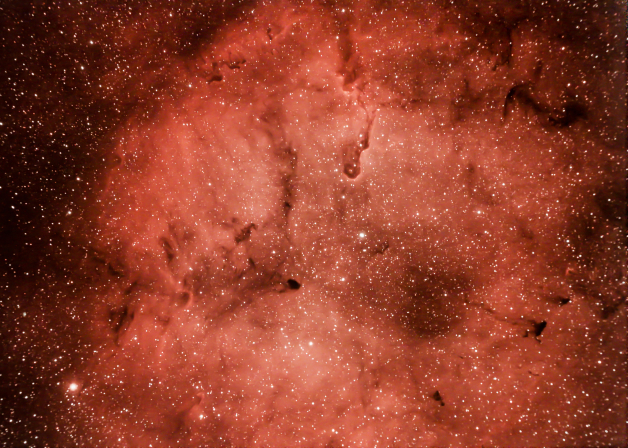 IC 1396.jpg