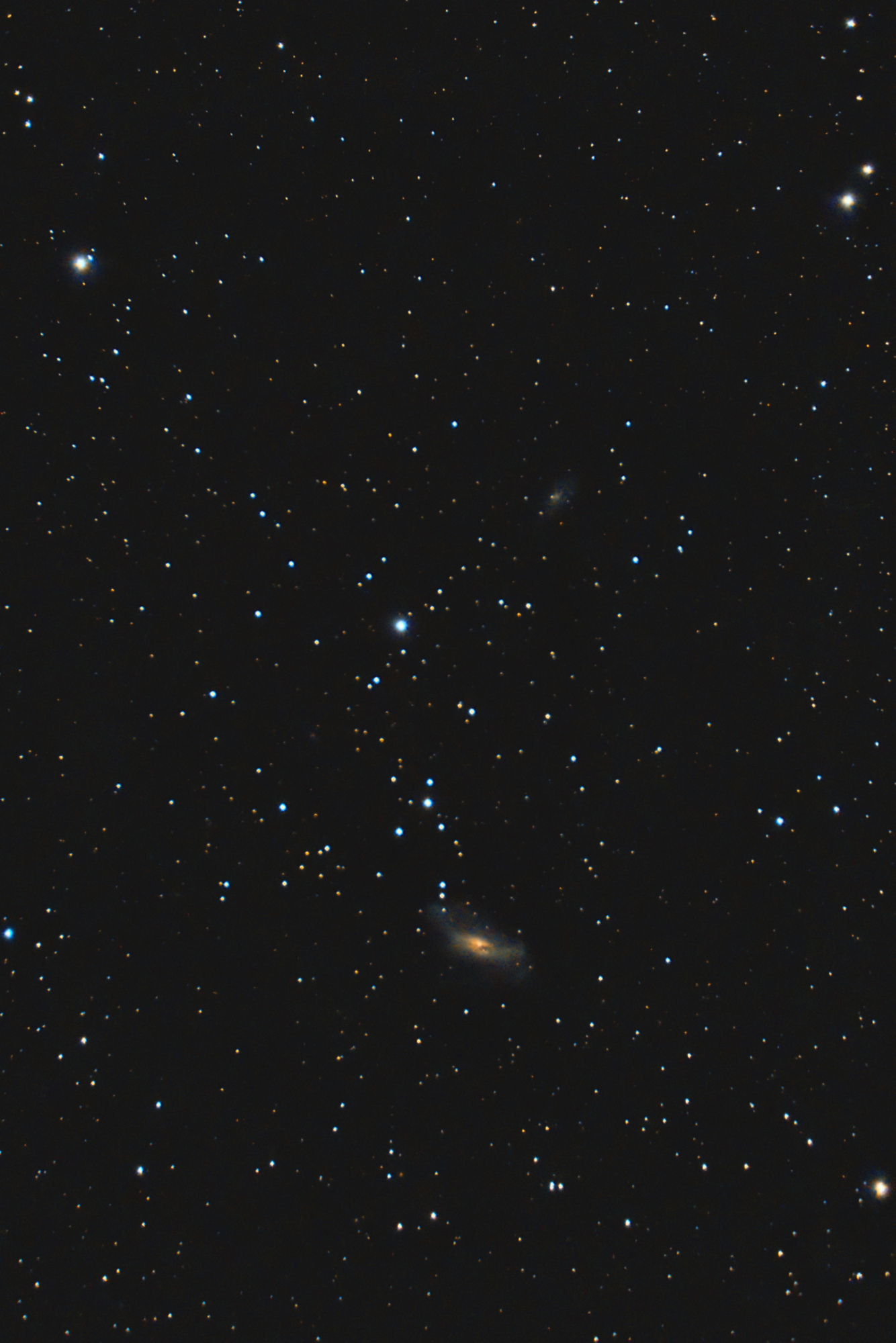 NGC2146-C8_RGB-siril-PS-finale-2022.thumb.jpg.9a66b1d63ae617876b794e0c07878f8b.jpg