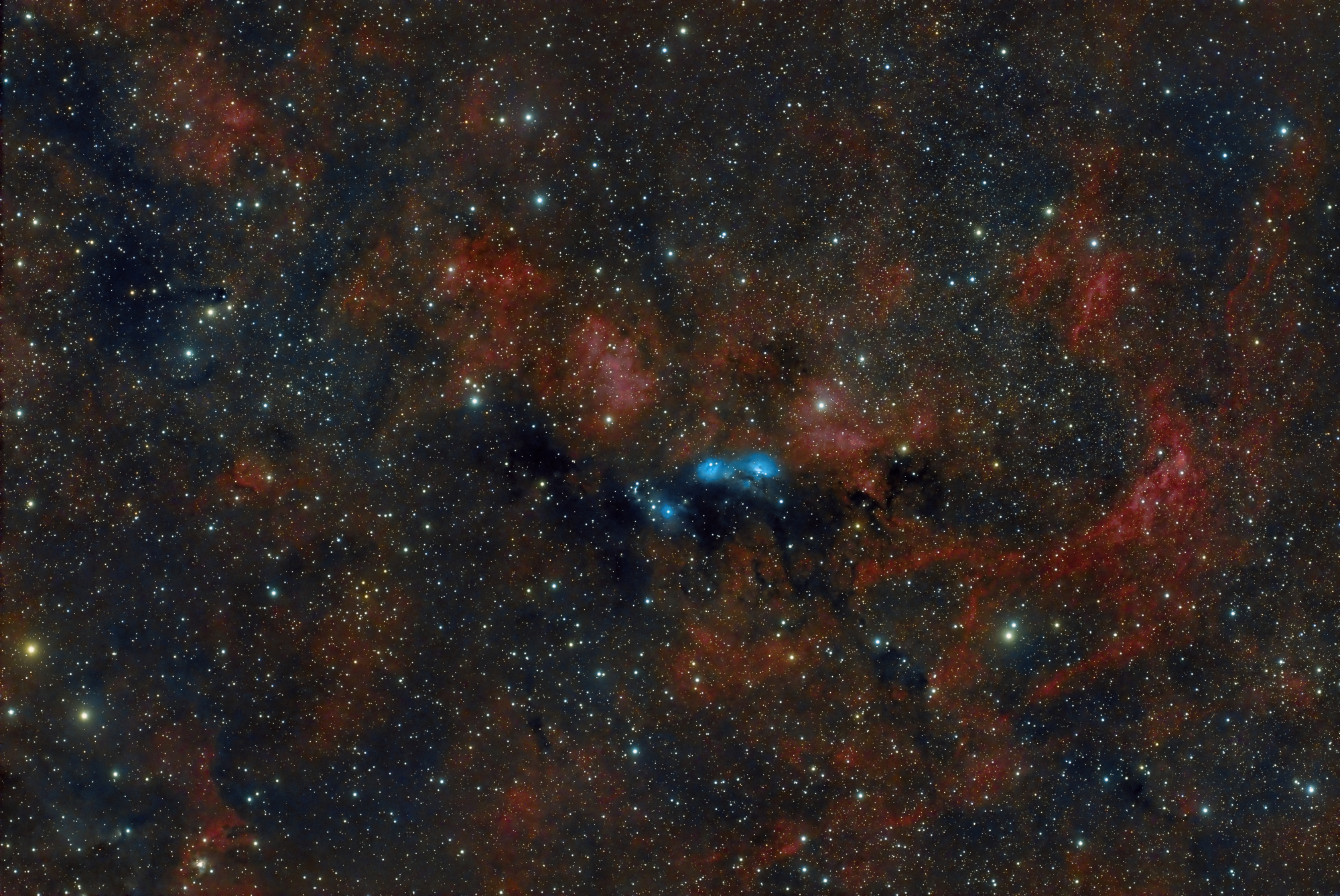 20230829-NGC6914-Final_Result.thumb.jpg.7b5a7a561a3a4fe90e8c70da67dd73f8.jpg