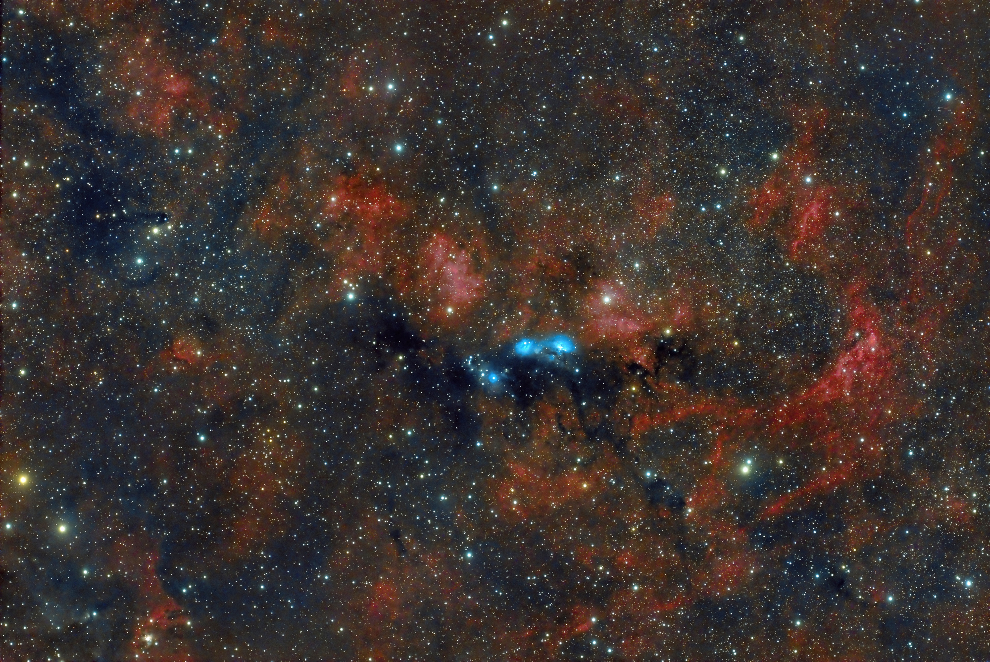 20230829-NGC6914-Final_ResultV2.thumb.jpg.803b758995e0490704c8b04f8fe56ea4.jpg