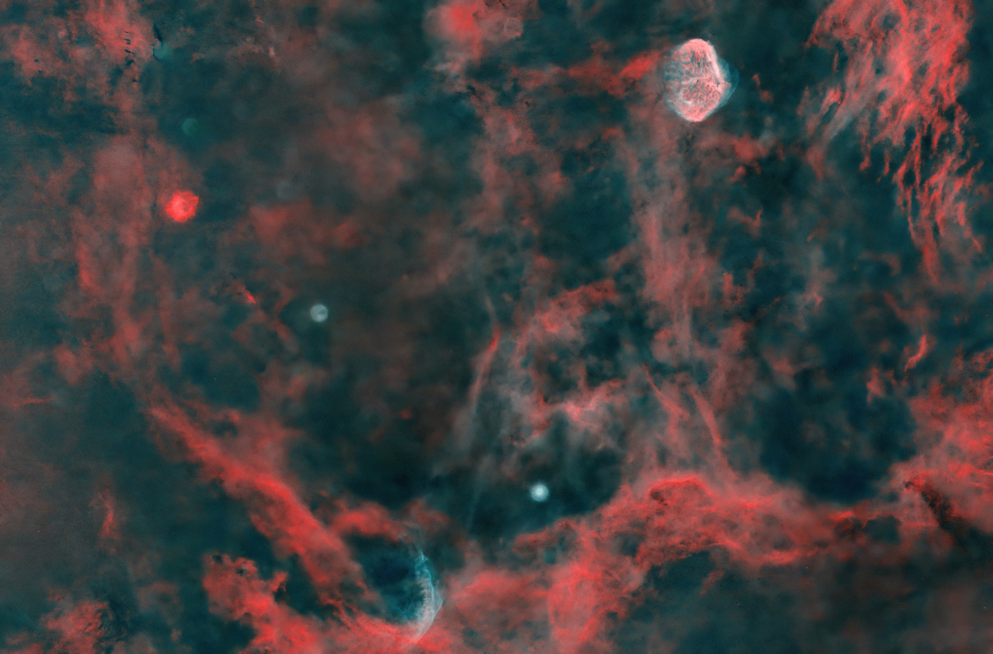 NGC 6888+WR134_SIRIL-HOO1++2-iris-étir-SN-courbes-niveau-bruit.jpg