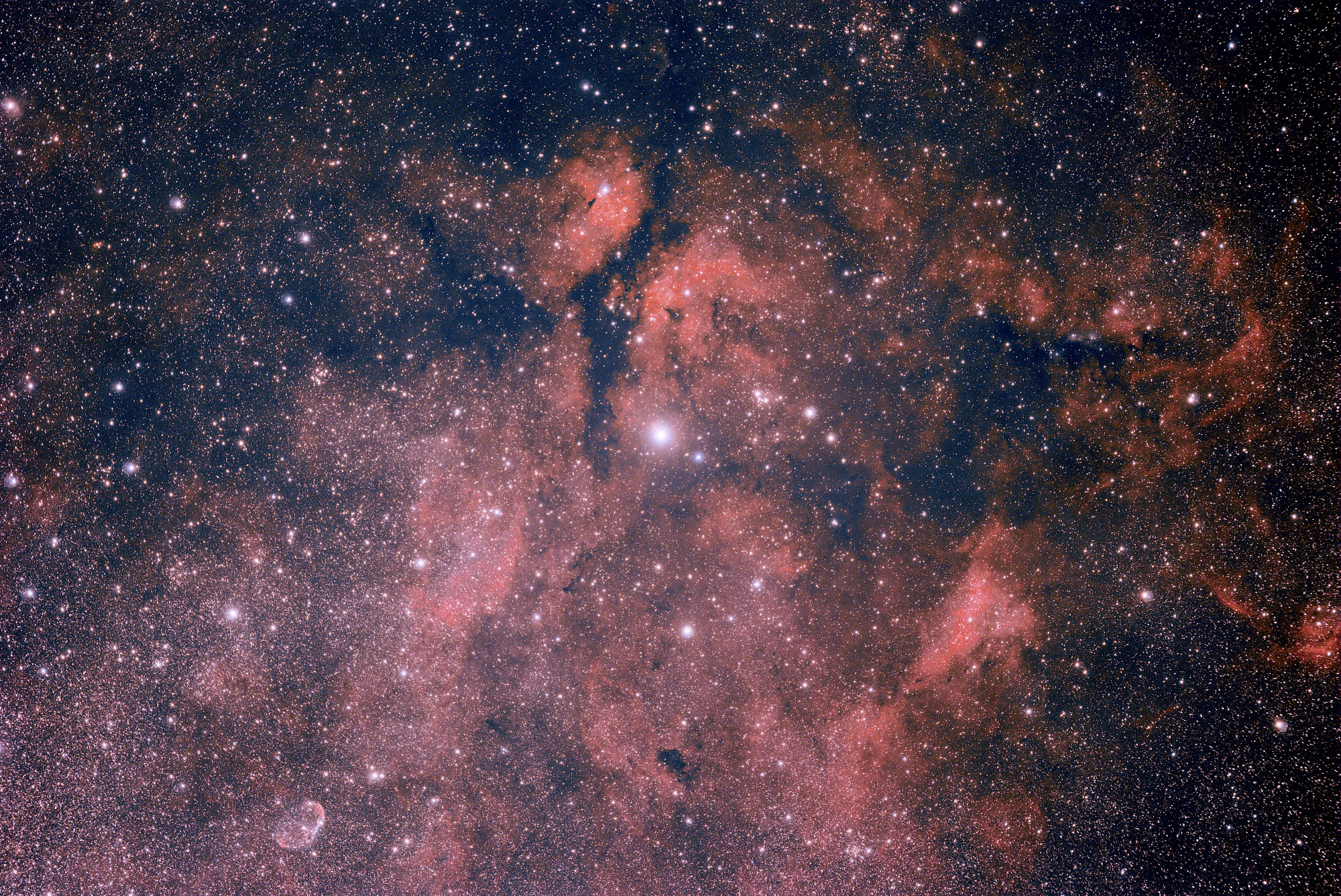 IC1318_RGB.jpg