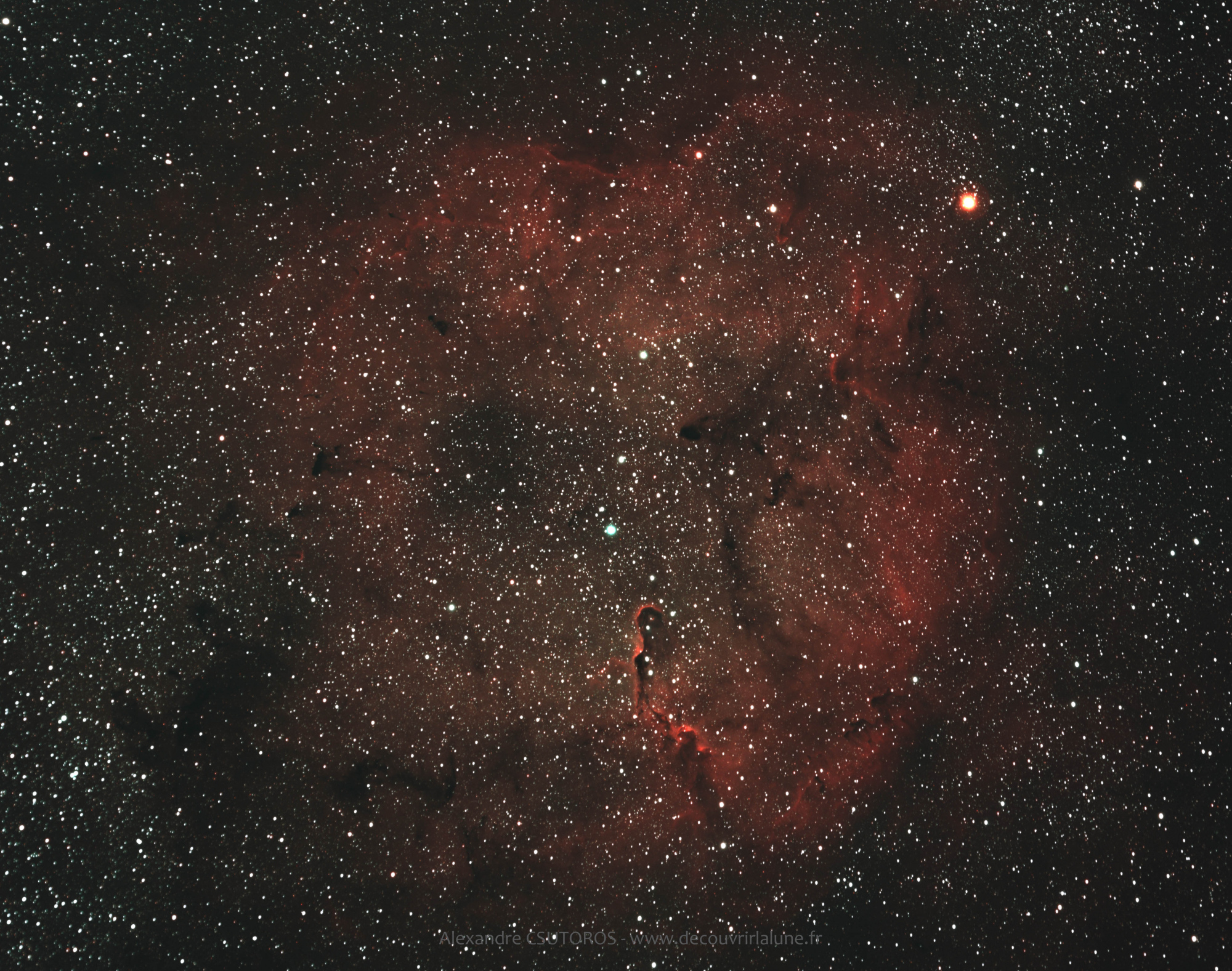 IC1396-117i-600s-CAM-08082023-1.jpg