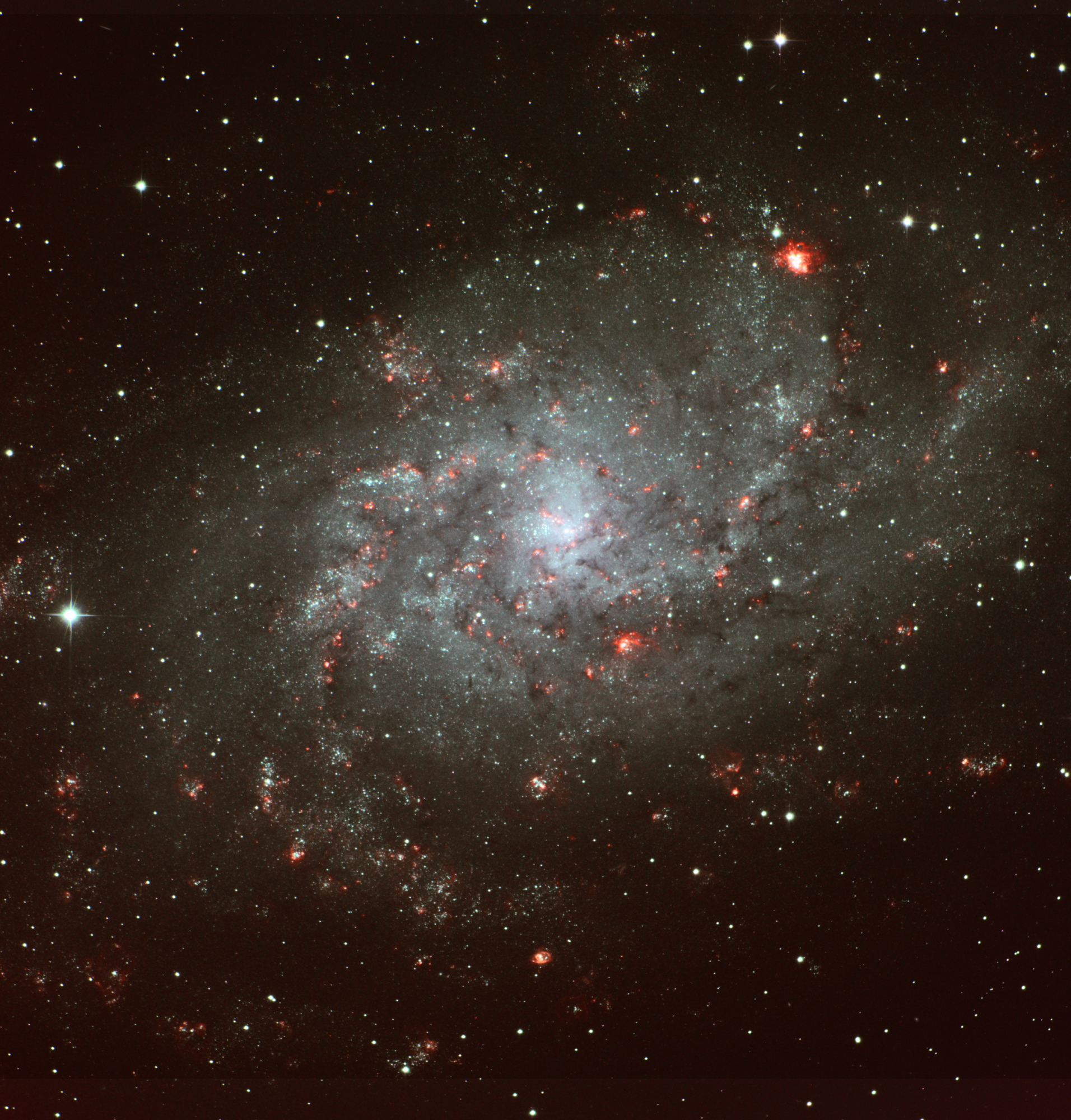 M33_DeepSkyCatcher-PicMidi-T50-20082023-HaGB_rot2-color50p.jpg