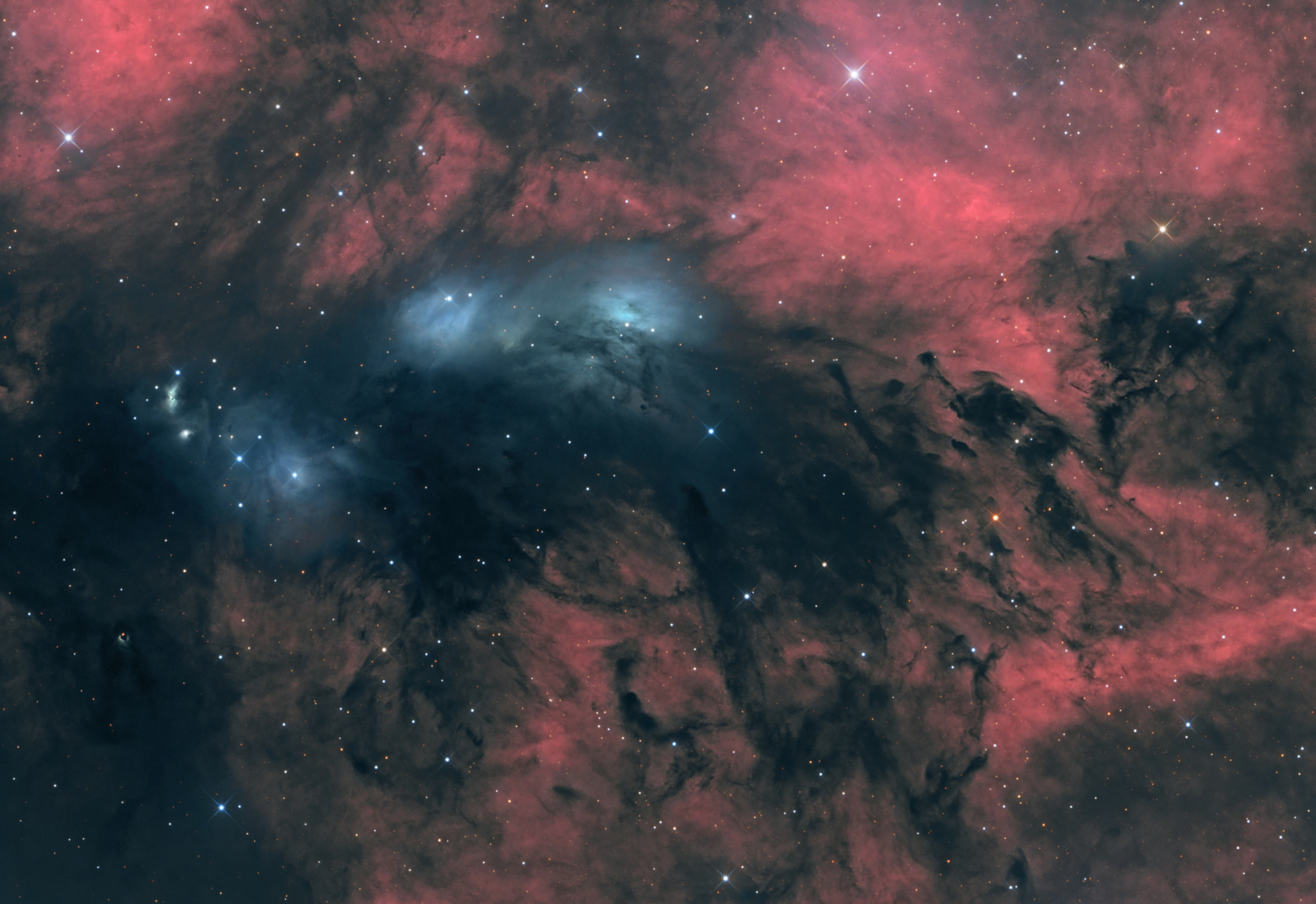 NGC6914-5.thumb.jpg.cb1677bd9ef4b650487b9949f836134f.jpg