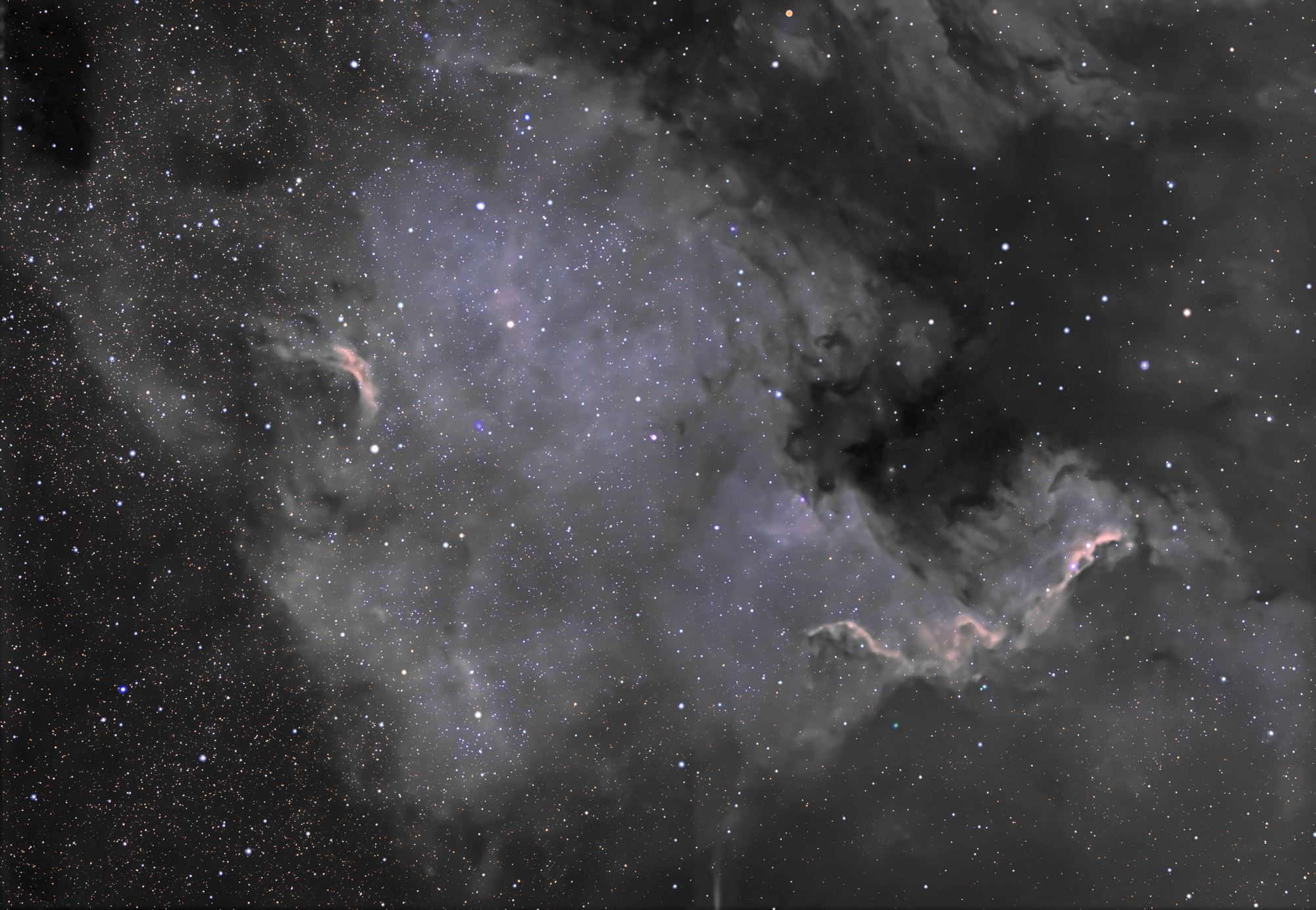 64f30fe602510_NGC700020-08-20234k.thumb.jpg.6eced5dbc27ad4309a0bde8318d04201.jpg