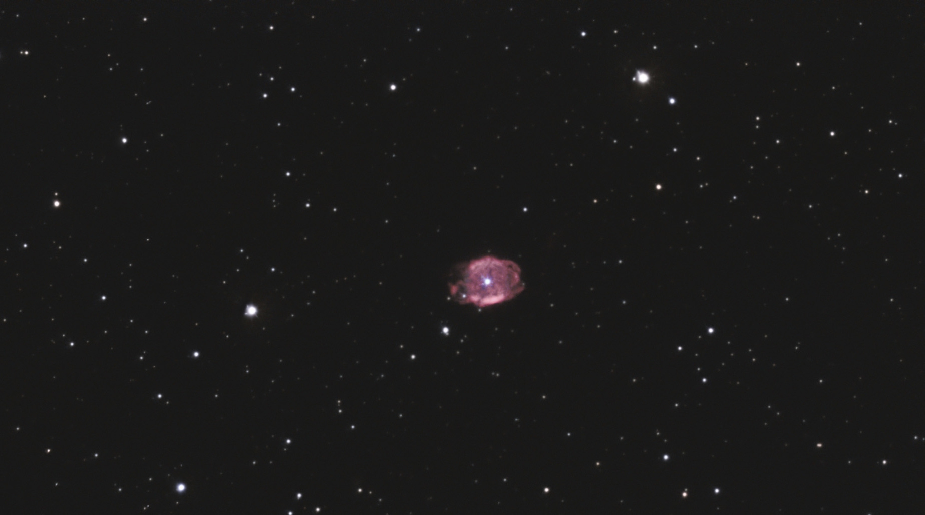 651124f5eef68_NGC40-Meade-neptune464_RGB-Siril-Pix-PS-finale.jpg.89dcb86c72bfca27f9b8121d39cb478a.jpg