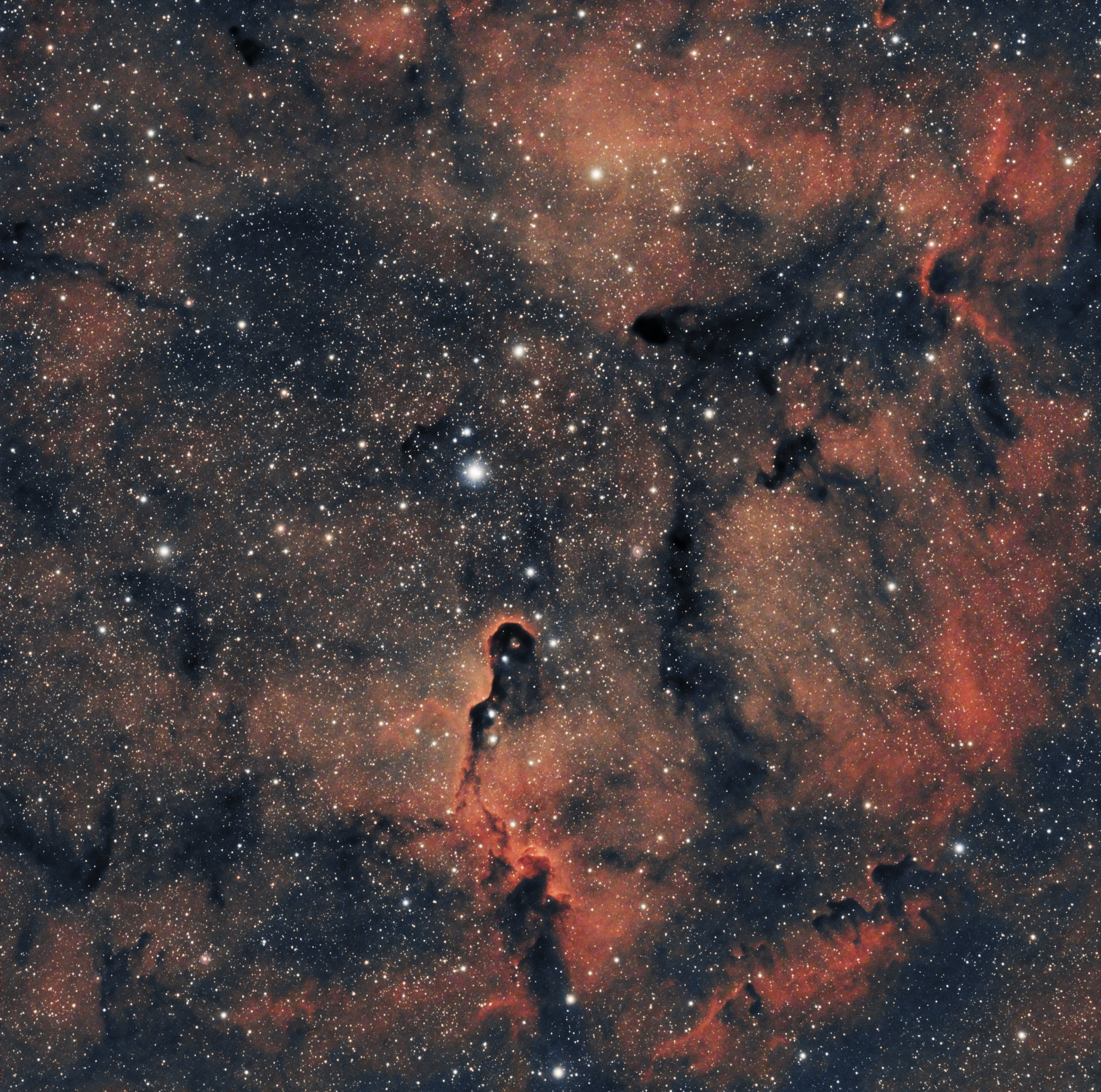 IC1396 la trompe .jpeg