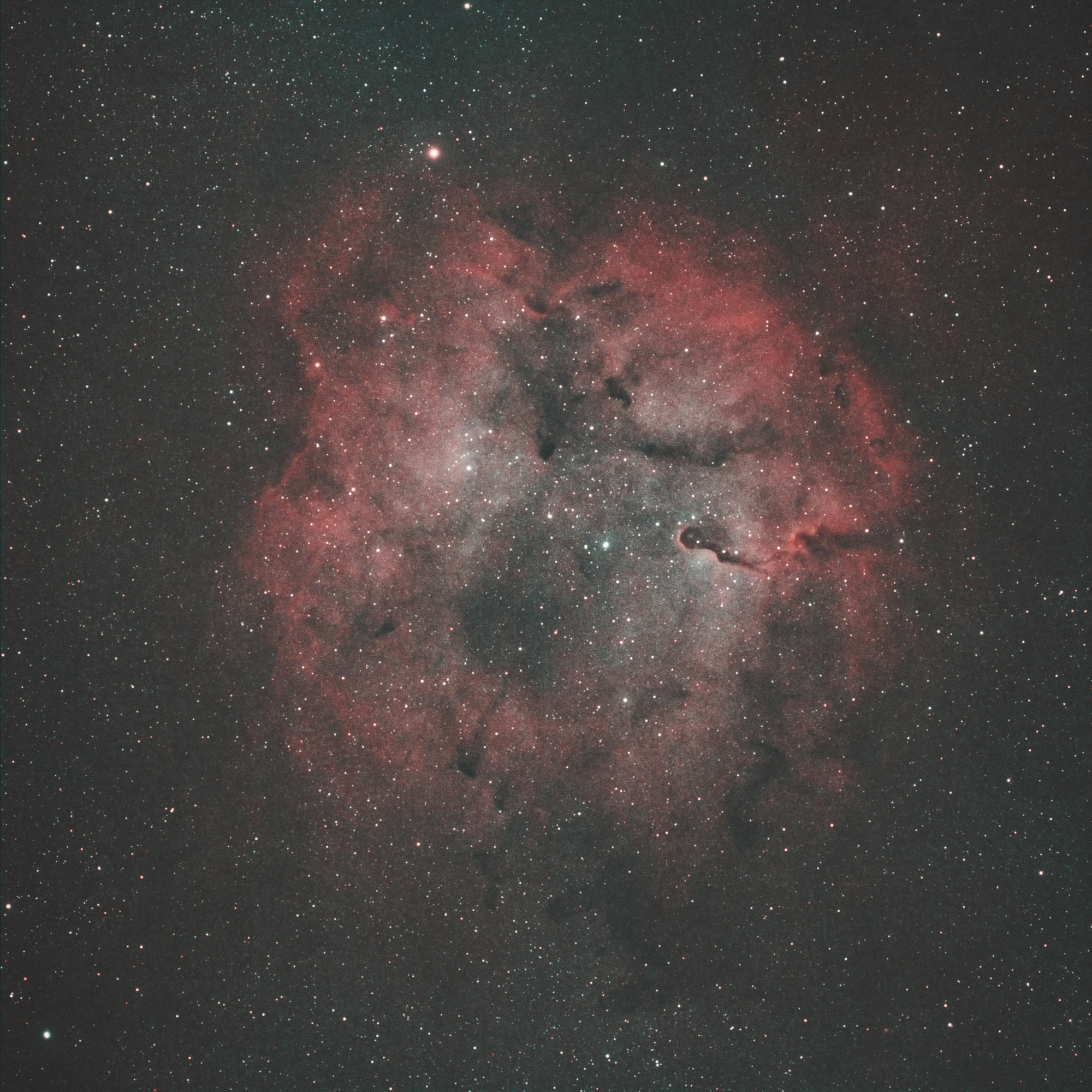 IC1396_HOO_30x240s.jpg