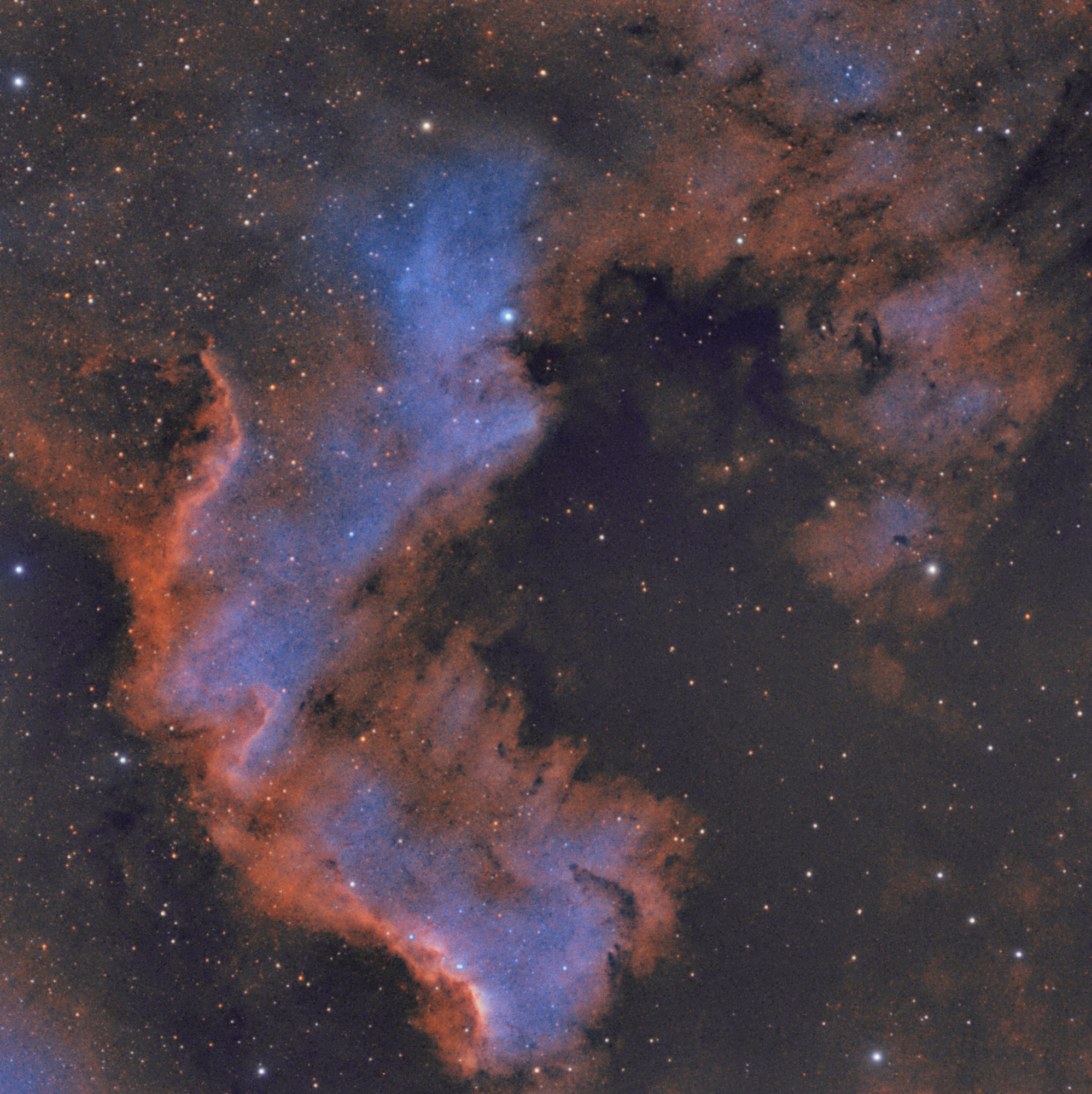 NGC7000_10x150s_PIX_SHO.jpg