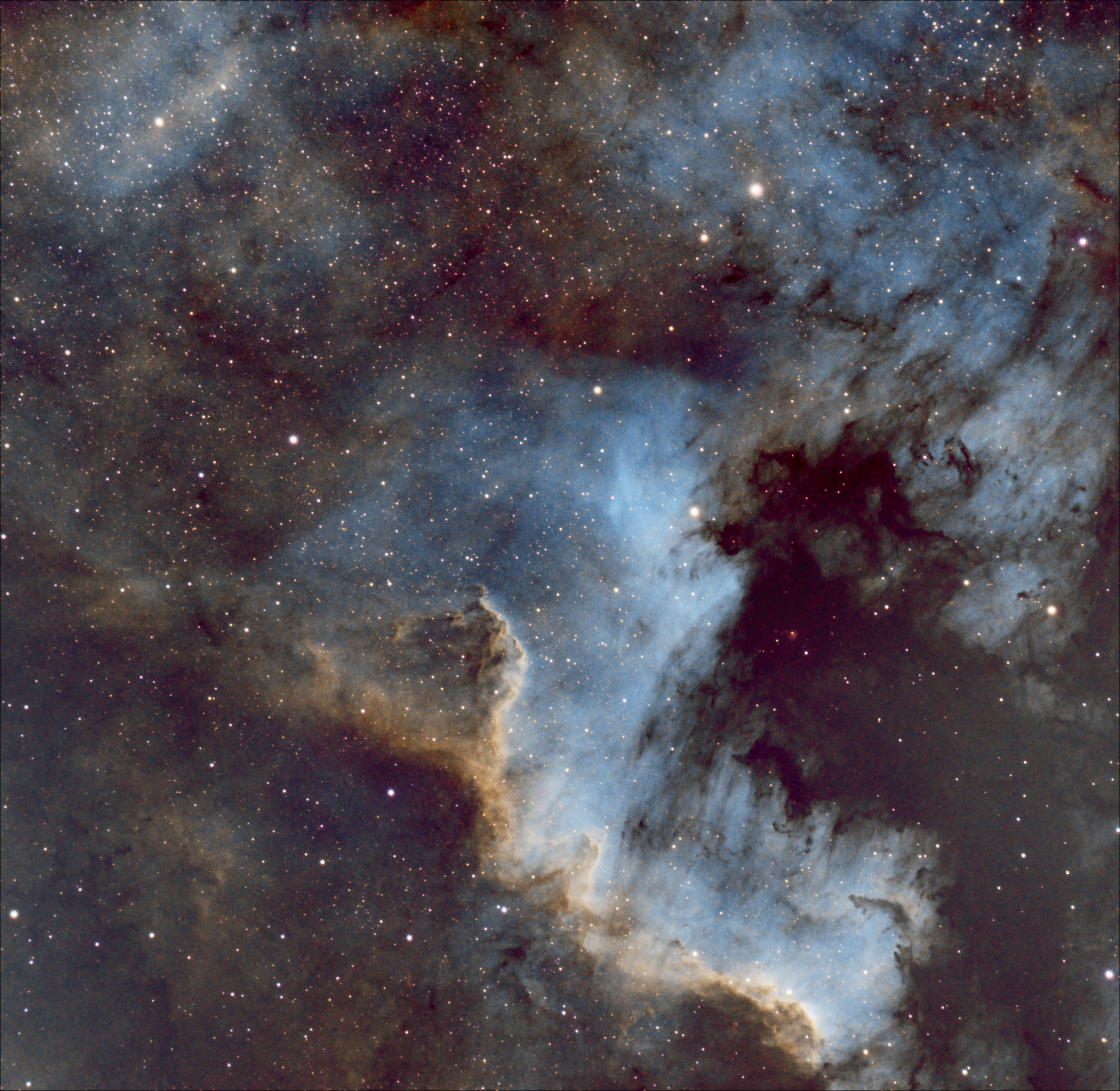 NGC7000sho.jpg