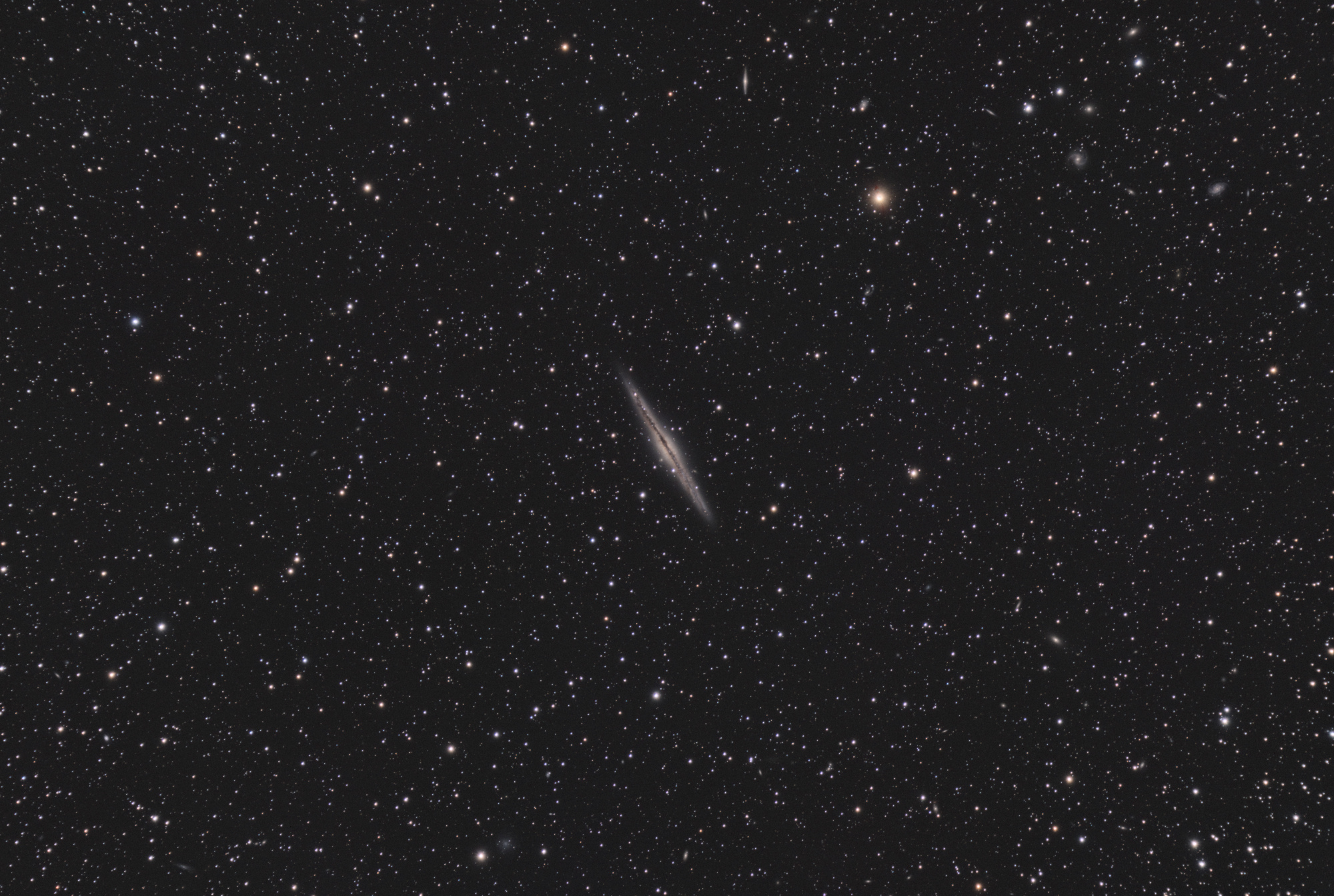 NGC891-Berche2023-TSA-LRGB-60-15-15-15x180sec.jpg