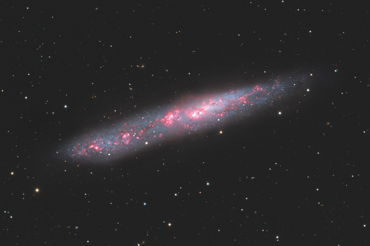 0239_NGC55_anim_g.gif.728af8af3eb3e18b65bed58ebffe1487.gif