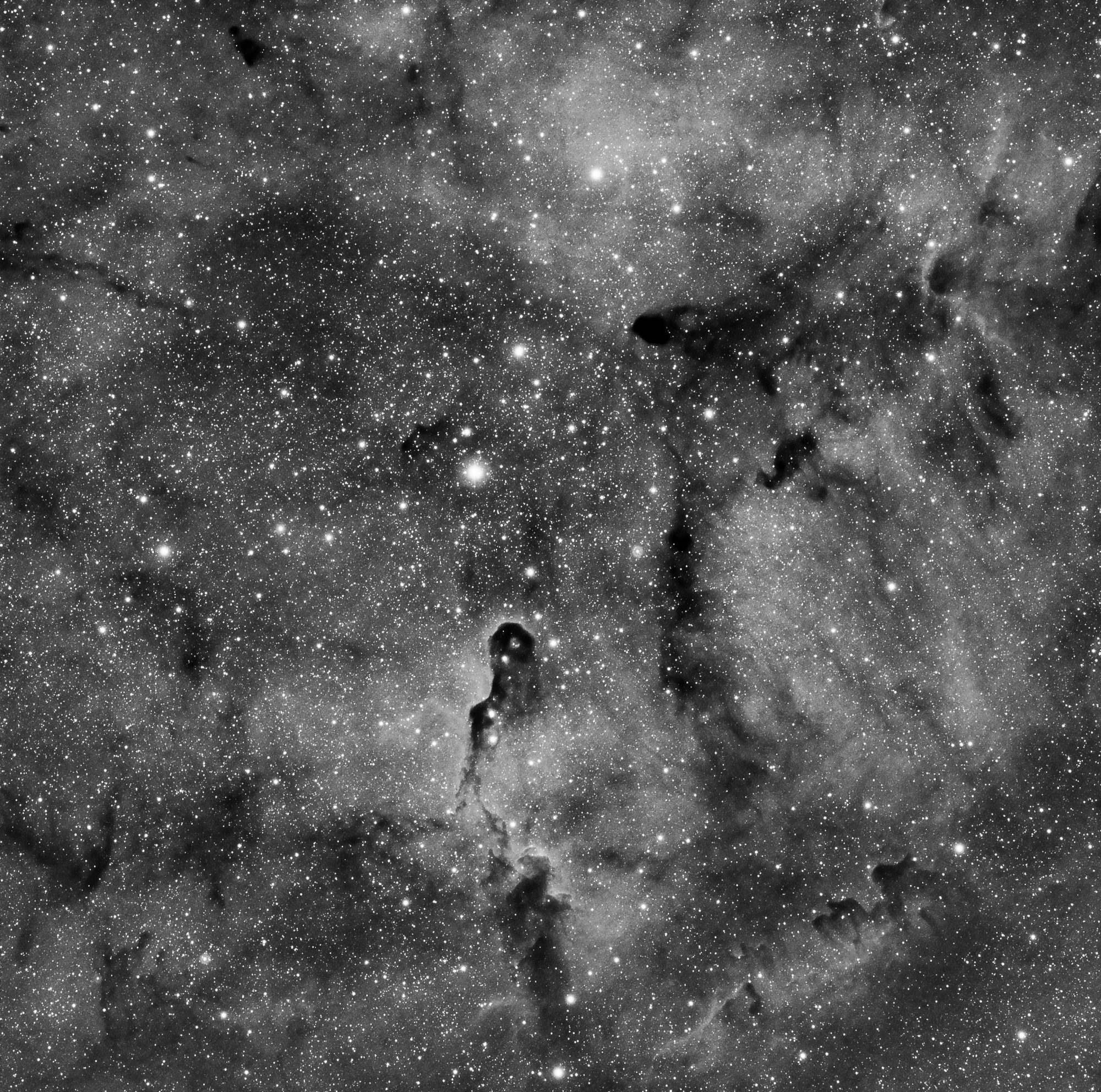IC1396 la trompe_.jpg